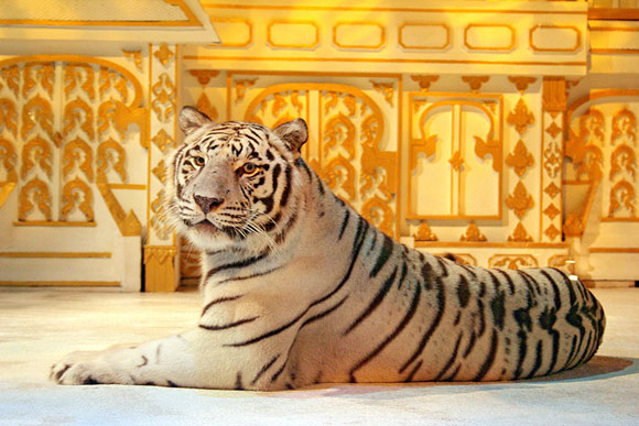 Парк Phuket FantaSea