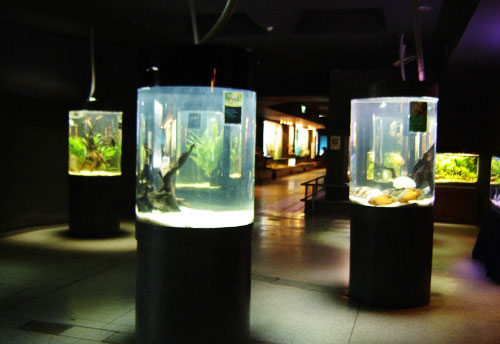 аквариум пхукета