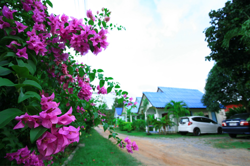 Panpen Bungalow